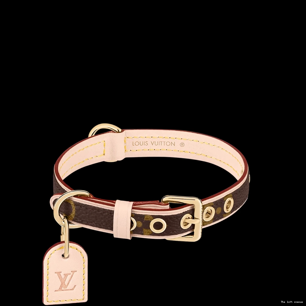 AND LV DOG LEASH COLLAR 0825